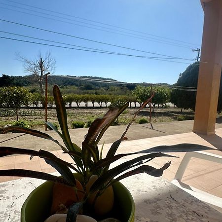Garden View Appartment Kalavarda Bagian luar foto